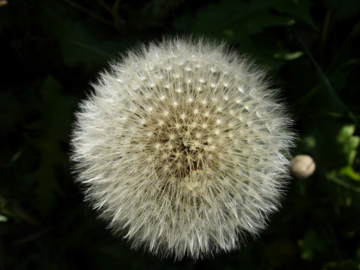 431798 (a): :1600x1200